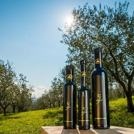 Отель Belvedere 3*